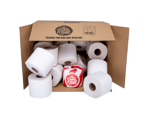 Toiletpaper - WRAPLESS CHOICE 24 toilet rolls - 2 layers - recycled