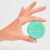 Shampoo Bar Eucalyptus