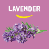 Happy earth Natural Deodorant Balm Lavender