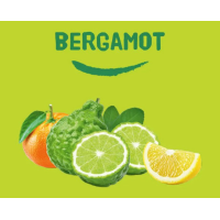 Happy Earth Deodorant Balm Bergamot – extra afbeelding 2