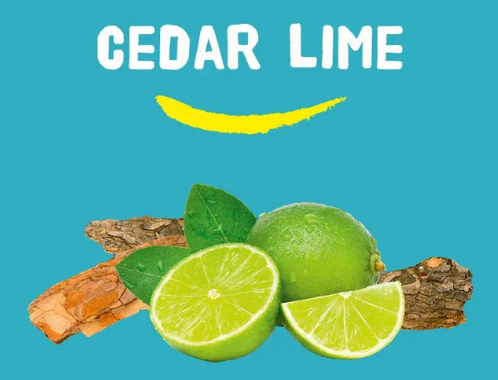 Happy Earth Natural Shower Gel Cedar Lime - 300 ml – extra afbeelding 2