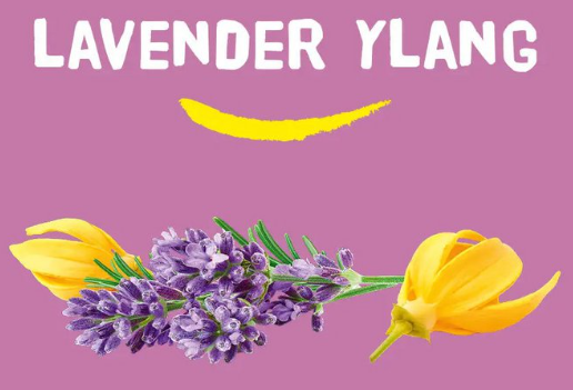 Happy Earth Plasticvrije Shower Bar Lavender Ylang - 90g – extra afbeelding 2
