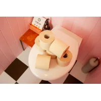 The Good Roll Bamboo Toiletpaper The Naked Panda Edition – extra afbeelding 2