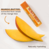 Lip Balm Mango