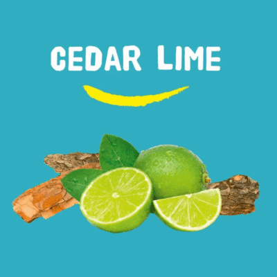 Happy Earth Natural Deodorant Roller Cedar Lime – extra afbeelding 2