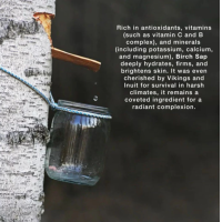 STRÖME Birch Sap Facial Cleanser – extra afbeelding 4