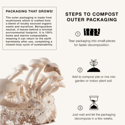 STRÖME Frizzy Hair Serum – extra afbeelding 2