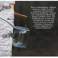 STRÖME Birch Sap Facial Toner – extra afbeelding 2