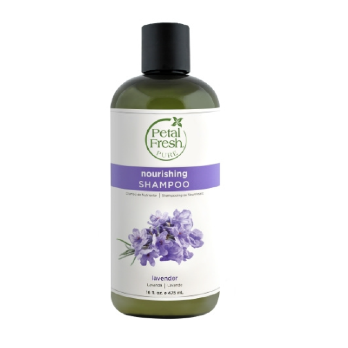 Shampoo Lavender