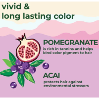 Petal Fresh Shampoo Pomegranate & Açai – extra afbeelding 2