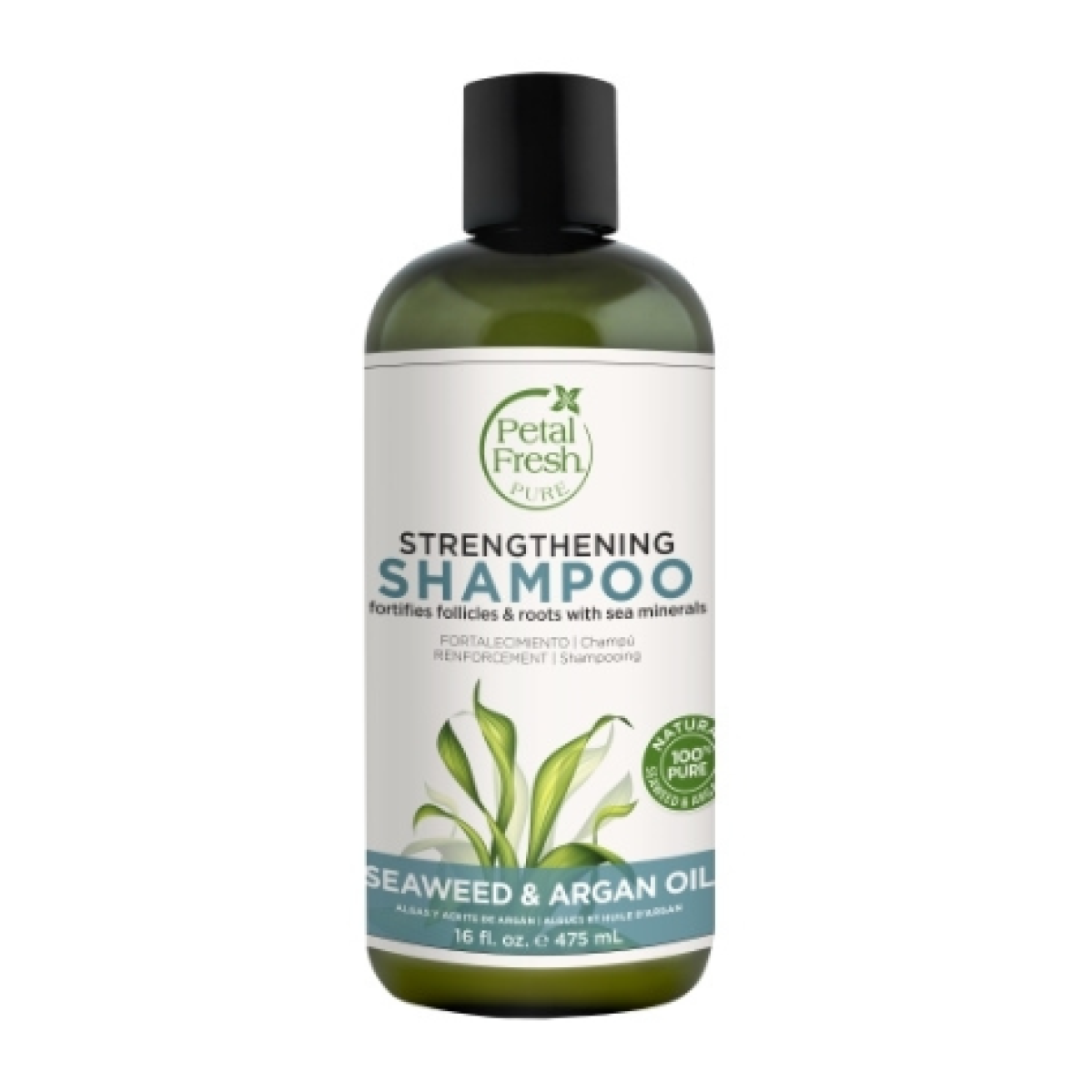 Shampoo Seaweed & Argan Oil