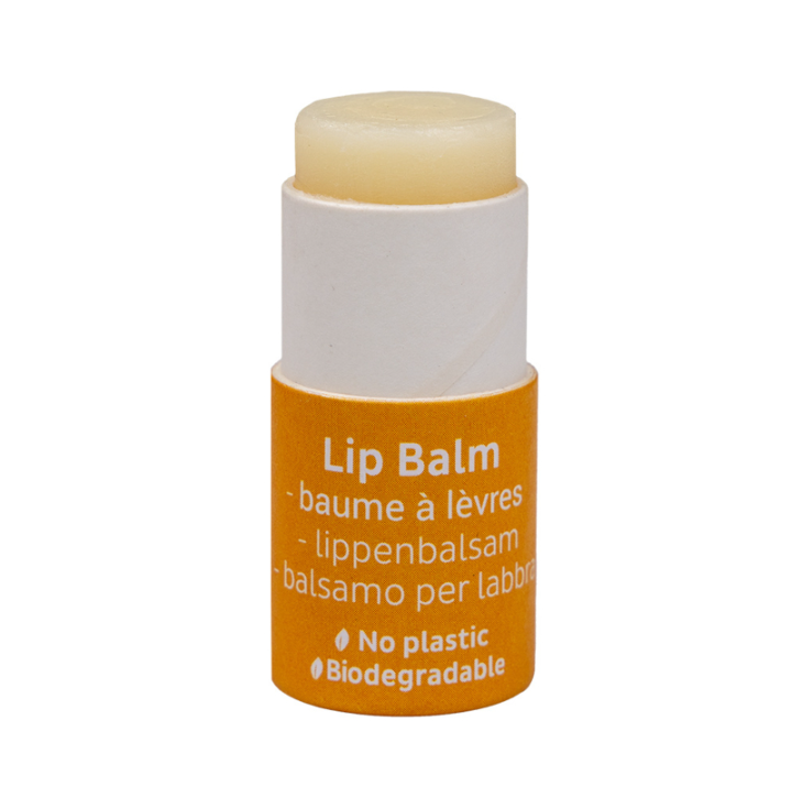 Beauty Made Easy Papertube lipbalm - Honey - 6g – extra afbeelding 2