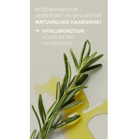 Weleda Revitaliserende Shampoo Rozemarijn – extra afbeelding 2
