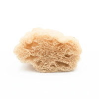 Food for Skin Veggie Sponge - 100% Natural Loofah – hoofdafbeelding
