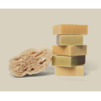 Food for Skin Veggie Sponge - 100% Natural Loofah – extra afbeelding 3