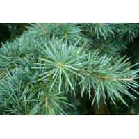 Werfzeep Schoonmaakzeep Fris – extra afbeelding 3