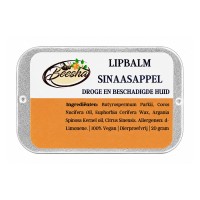 Lippenbalsem Sinaasappel